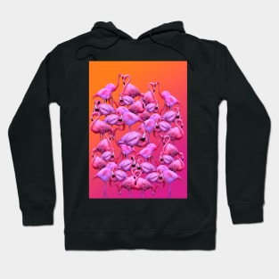 Morning with flamingos Hoodie